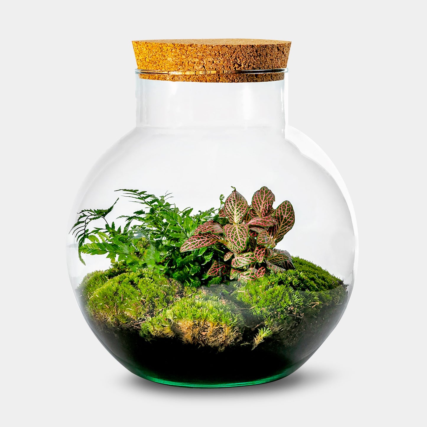 Bolder Botanical