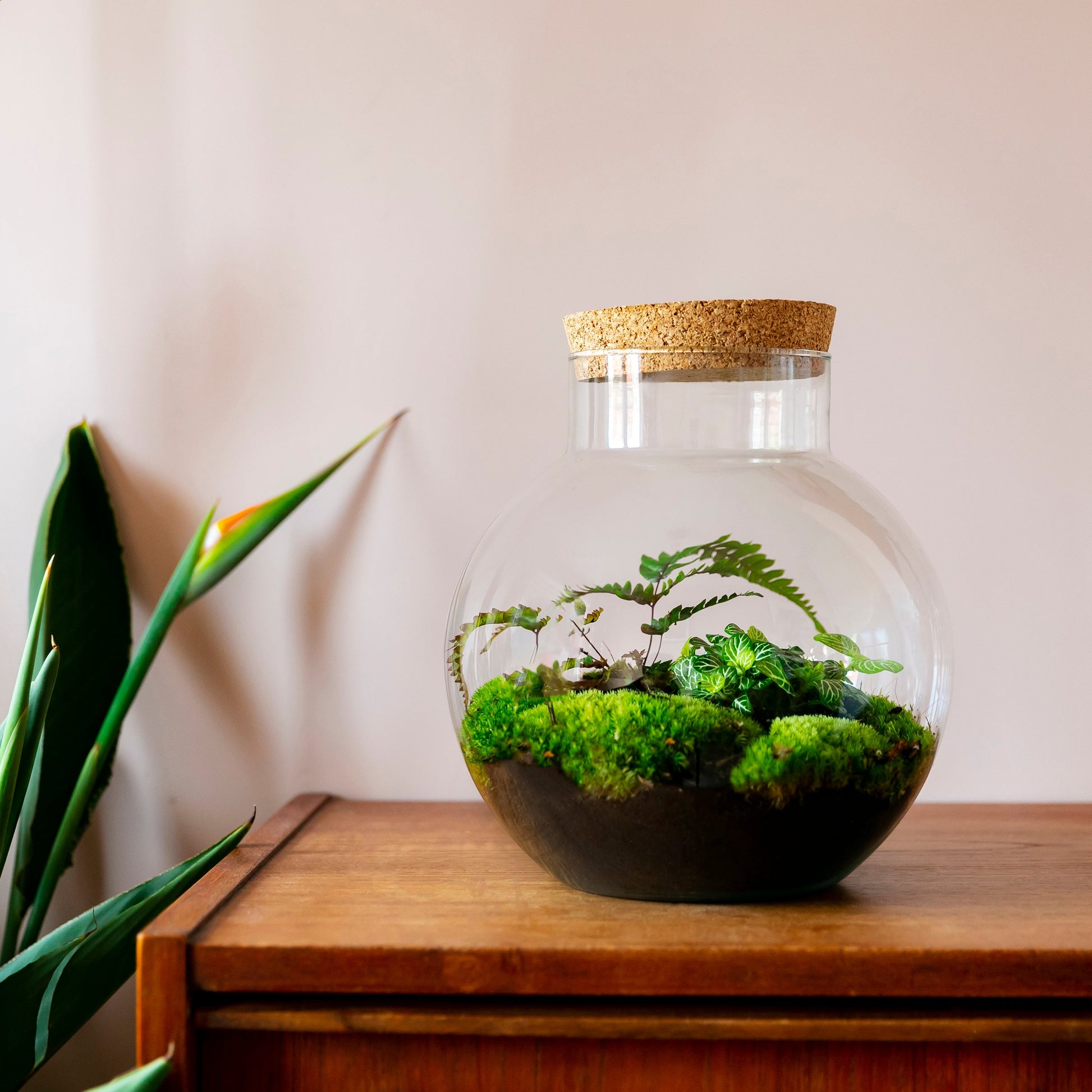 Bolder Botanical