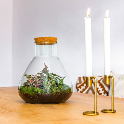 Erlenmeyer M Botanical