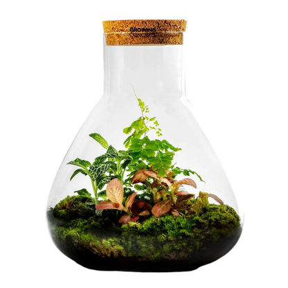 Erlenmeyer L Botanical