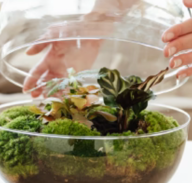 Botanische Boutique gift card