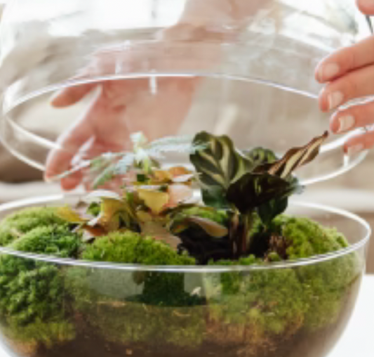 Botanische Boutique gift card